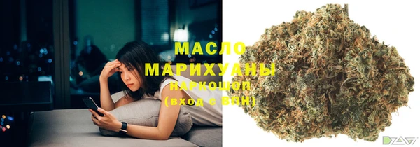 прущие грибы Бородино