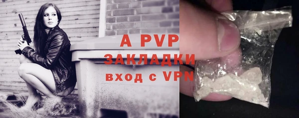 прущие грибы Бородино
