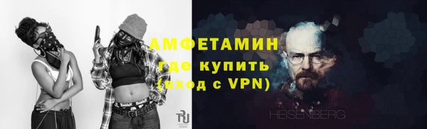 прущие грибы Бородино