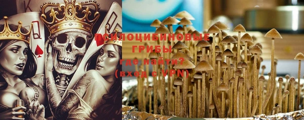 прущие грибы Бородино