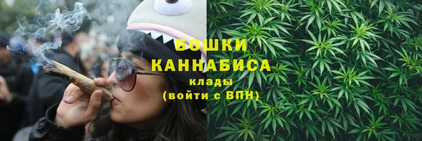 прущие грибы Бородино