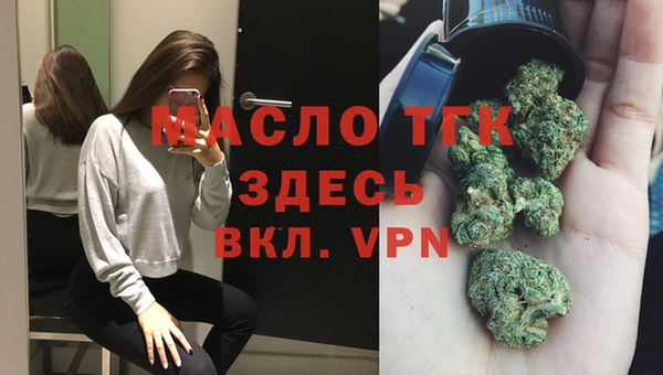 прущие грибы Бородино
