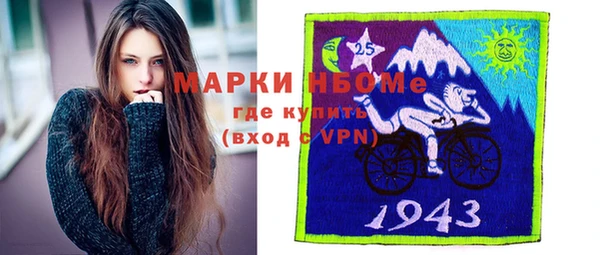 прущие грибы Бородино